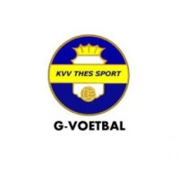 G-Voetbal Thes Sport Tessenderlo